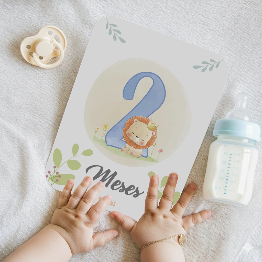 Set completo de tarjetas mes a mes y cumple meses bebé Tierno Safari